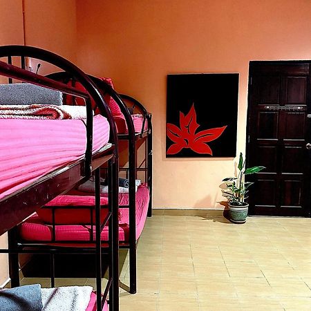 Home Sol Guesthouse Pantai Cenang  Esterno foto